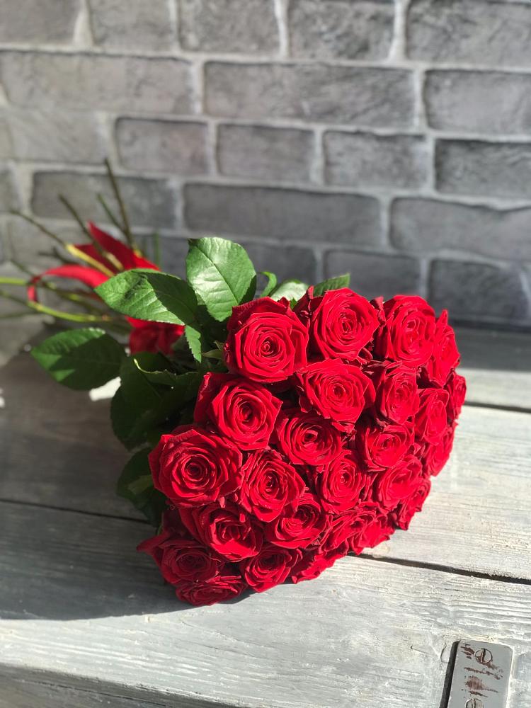 Букет Красные розы Фридом в Коршево