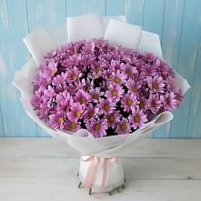 Букет цветов из:  Хризантемы в Коршево