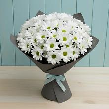 Букет цветов из:  Хризантемы #REPLACE_PRED# Коршево