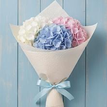 Букет цветов из:  Гортензия в Коршево
