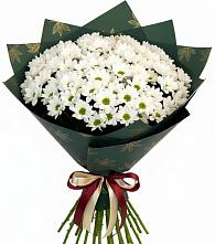 Букет цветов из:  Хризантемы в Коршево