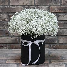 Цветочная композиция из Гипсофила в шляпной коробке в Коршево