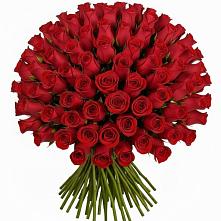 Букет Красные розы Чери Лав в Коршево